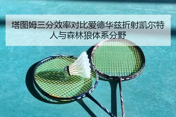 塔图姆三分效率对比爱德华兹折射凯尔特人与森林狼体系分野